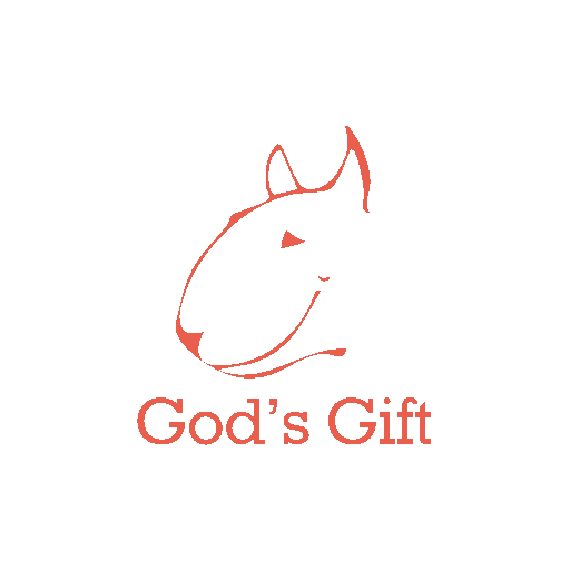 God's Gift logo