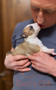 God’s Gift Симпл Димпл