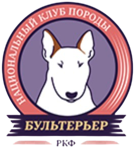 НКП Бультерьер